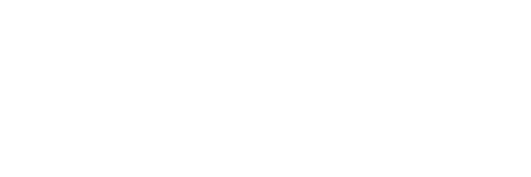 bigger logo white.png
